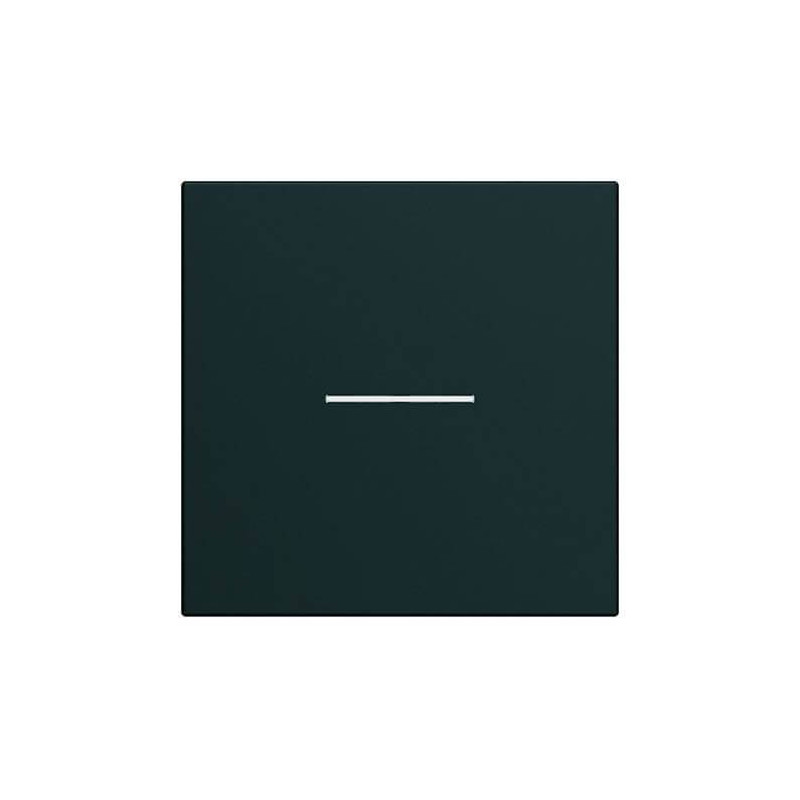 Enjoliveur Interrupteur Night à Voyant Hager Gallery 2 modules