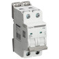 Disjoncteur Bipolaire 50A Courbe C Digital Electric