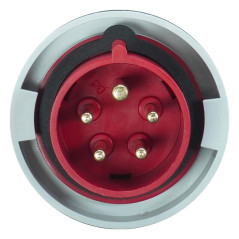 Fiche mâle 3P+N+T 16A - 380V - IP67
