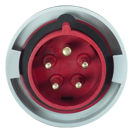 Fiche mâle 3P+N+T 16A - 380V - IP67