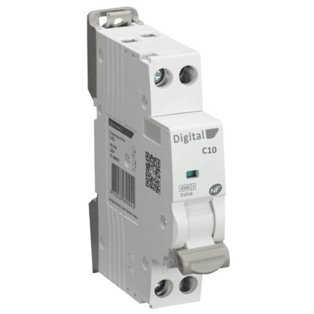 Disjoncteur DPN 10A boite de 12