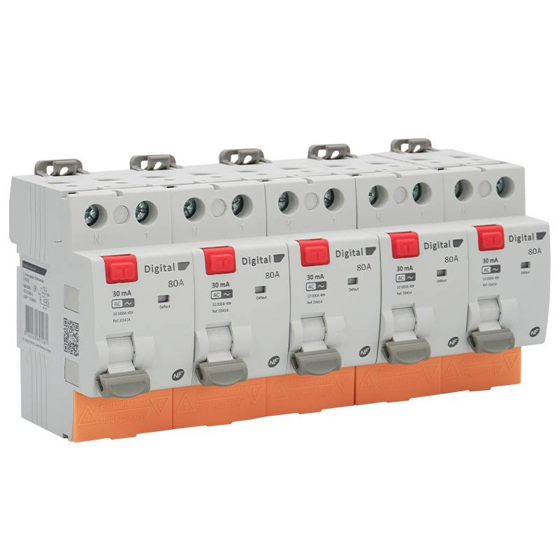 5 Interrupteurs Différentiels Bipolaires 80A Type AC 30mA