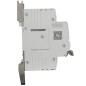 Disjoncteur Phase + Neutre 25A Courbe D Digital Electric
