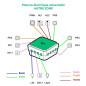 Pieuvre Électrique Autre Zone