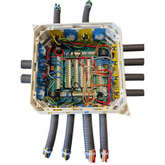 Pieuvre Électrique Autre Zone